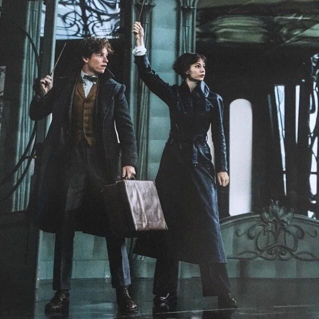 hpftb__channel's tweet photo. https://t.co/nys5hQGQNk

#NewtScamander 
#TinaGoldstein 
#FantasticBeasts3 
#SecretofDumbledore 
#EddieRedmayne
#KatherineWaterston
#YouTube https://t.co/rsieYiOWP6