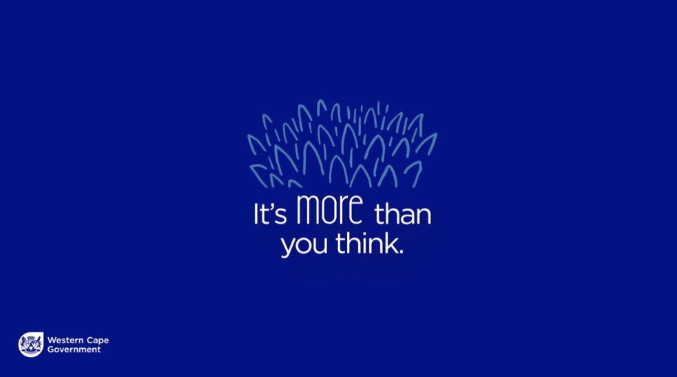Exciting to launch the start of #TourismMonth2022 @ the beautiful <a href="/KhwattuSan/">!Khwa ttu</a> in the <a href="/WeskusDM/">West Coast District</a>! Its lovely to showcase our beautiful province where its #morethanyouthink . For more details visit westerncape.gov.za/site-page/econ… <a href="/WesternCapeGov/">Western Cape Gov</a> <a href="/discoverctwc/">Discover WesternCape</a> <a href="/ShotLeft/">Sho't Left</a>