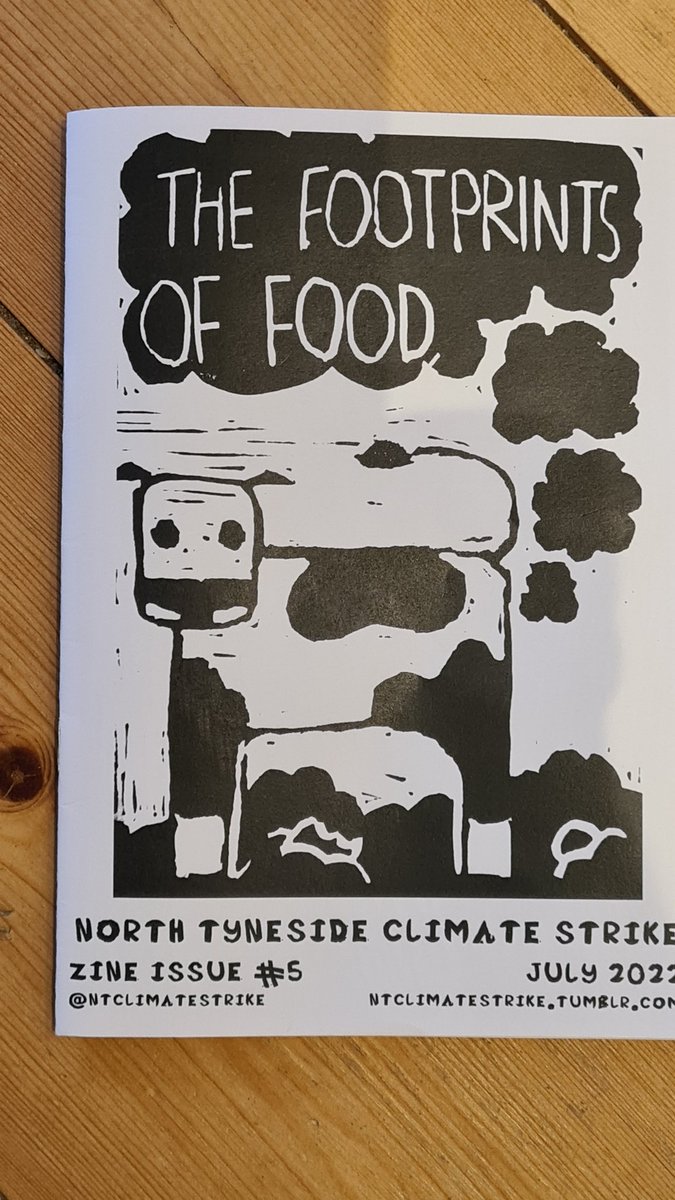 North Tyneside Climate Strike LIVE tweet media