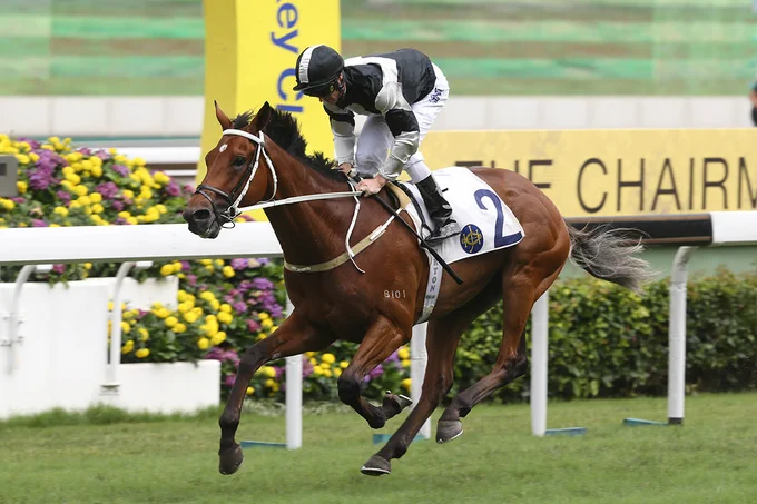 エグザルタント(時時精綵)短距離王国と呼ばれる香港競馬ではすごく珍しく、ステイヤーとして有名の競走馬。チャンピオンズCや香港ヴァーズなどの国際重賞レースではよく門番として外国の競走馬と立ち向かう。#オリジナルウマ娘 #香港ウマ娘シリーズ 