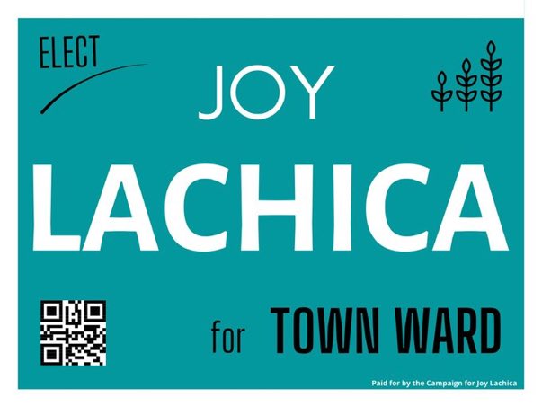 lalalalachica's tweet photo. I invite you to visit my website https://t.co/VjQ7wEvQmE to view my platform and to click on the tab to “Request a Lawn Sign”. Vote for skills, strategy and experience this October. #voicevisionchange #choosejoy #joy4townward #ptbo https://t.co/NENMBk06xA