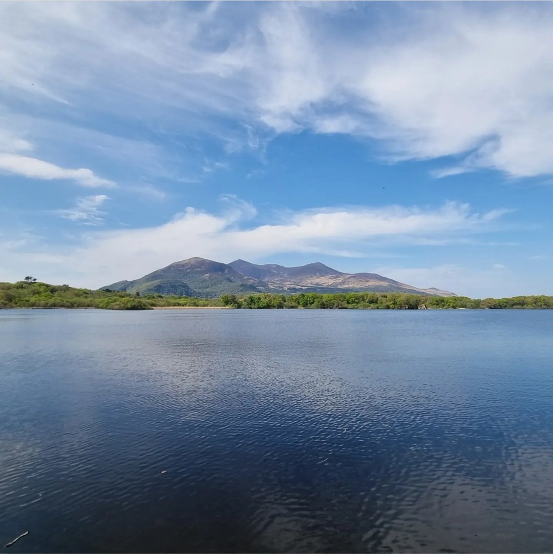 gapofdunloetour's tweet photo. A beautiful morning in Killarney! We are looking forward to our journey across the Lakes of Killarney today. 

We have boats running daily, book your place at https://t.co/5iALAEIvex https://t.co/xxlCWkud0o