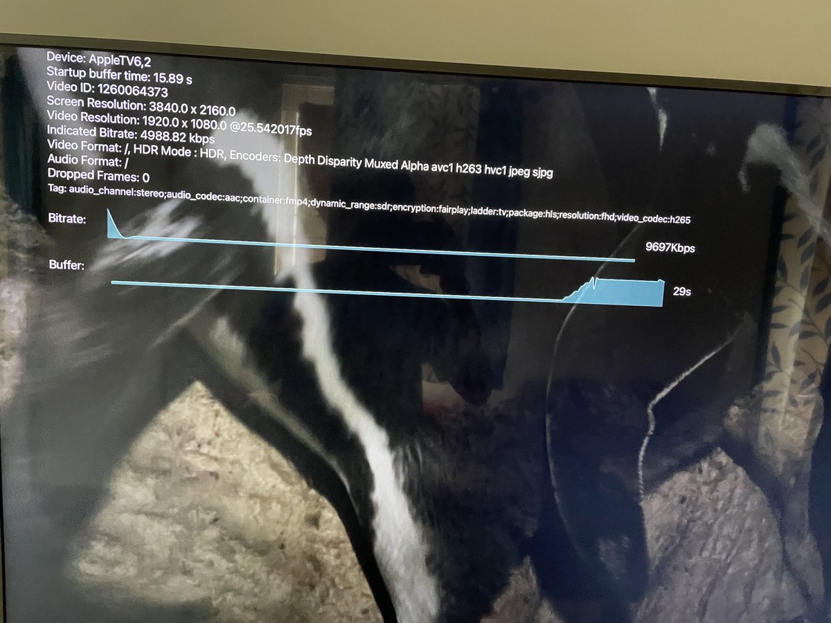 praveen_tech's tweet photo. Please disable it for user. I make sure Developer > Playback HUD is OFF from my apple tv device settings. ⁦@DisneyPlusHS⁩ #hotstar. Let me know if you need more details to reproduce. https://t.co/Pd9eWu2D9T