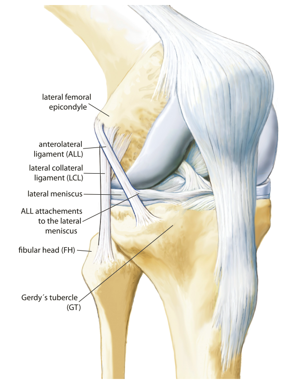 Physio Meets Science tweet media