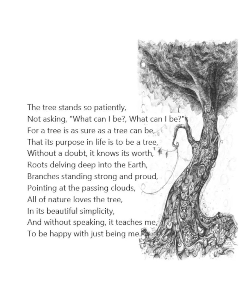 AverilLarke's tweet photo. #tree #roots #trunk #branches #happytobeme https://t.co/wN5rZMmPOr