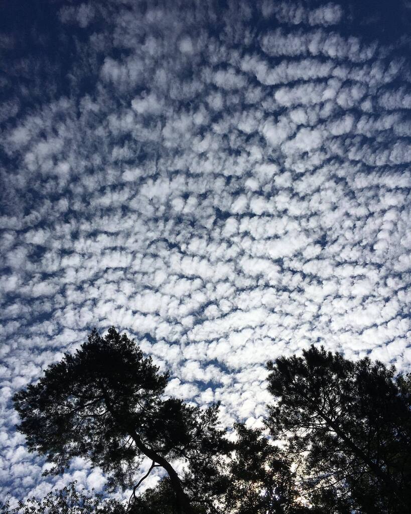 cc2go's tweet photo. #nowordsneeded #nofilter #purenature https://t.co/H6WOsMefcy https://t.co/864HxAkOEb