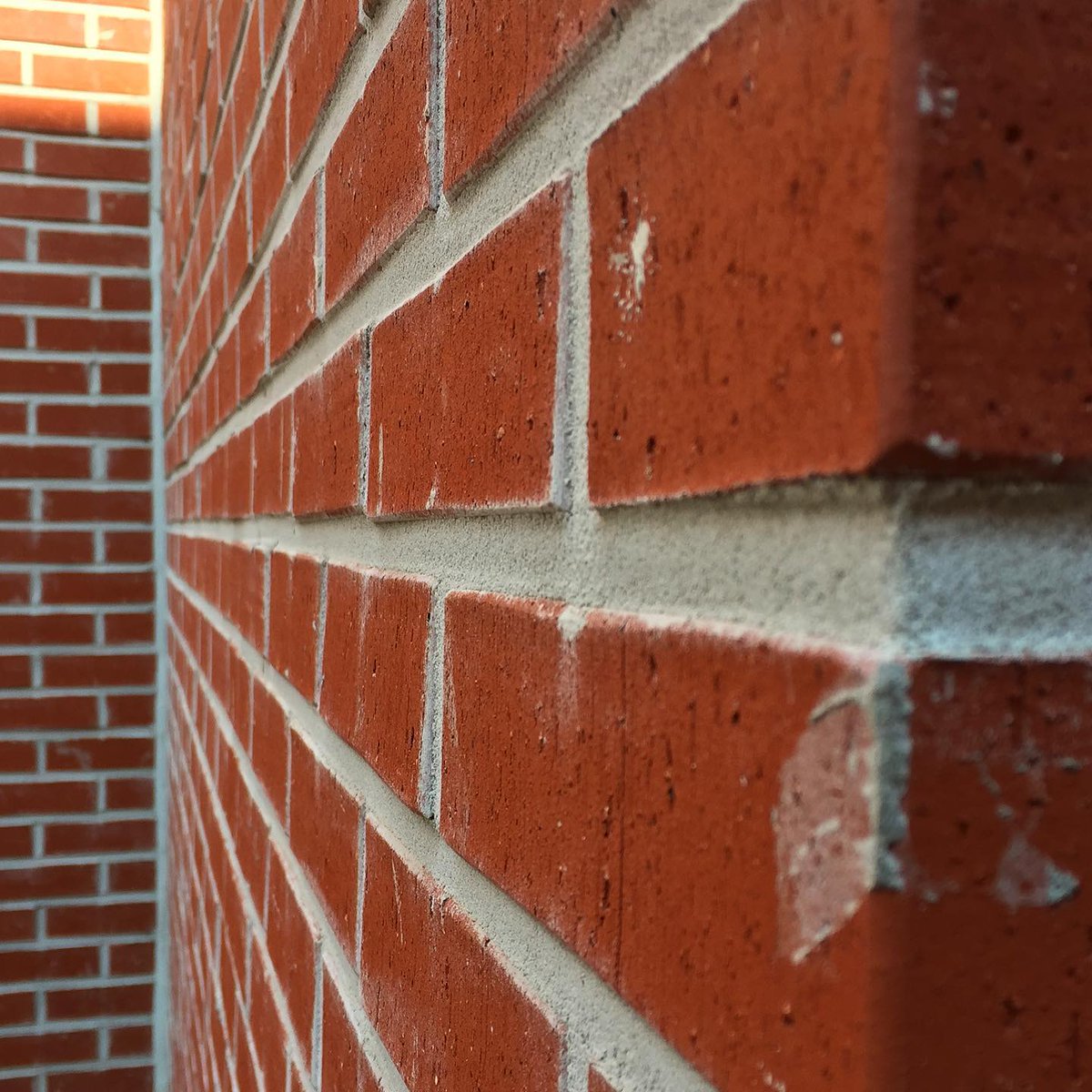 Patterns of Life NFT tweet media