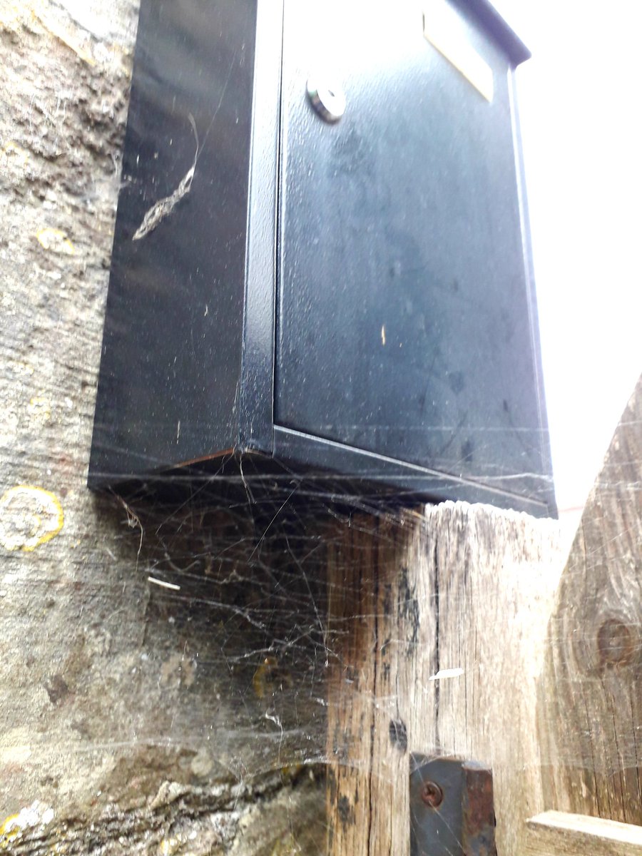 hari962's tweet photo. No post for 2 weeks means wildlife utilising a currently unused post box. Where's my post? #spider #web #newhome #royalmail #snailmail #spidermail https://t.co/5GNpQWuXfc