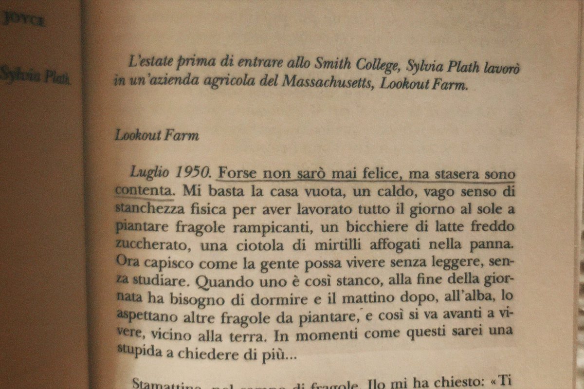 daanaiy's tweet photo. Tutto troppo spaventosamente relatable già dalla prima riga. Should I mention this to my therapist? https://t.co/iUfYUODOPI