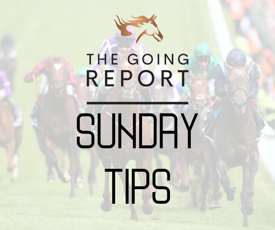 TheGoingReport's tweet photo. 🗣️"he's won four from five this year"

My tip runs in the 2.55 at York today 🏇

For today's horse racing tips 👉 https://t.co/WMwZFC8rgE

Good luck 🤞

🔞|https://t.co/cHx1D7wBJv https://t.co/2i5vRlYFC6
