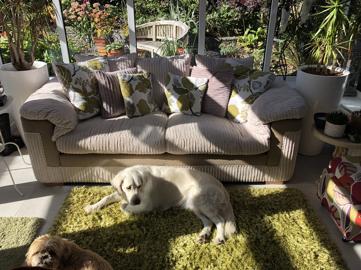 Aladinsane40's tweet photo. If anyone is looking for me I’ll be chillaxing on this couch with #MissHolly &amp; #MrButtons for next hour listening to music from @mcveighp @ELangfordMusic @katietheasby @hothouseflowers Enjoy your Sunday folks &amp; try bring a smile to someone today and if possible a hug too https://t.co/D2h4uFlmBz