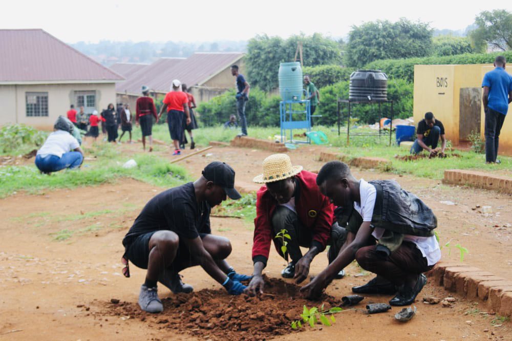 TrendRoomUG's tweet photo. Yesterday, @greenfuturesug planted over 20 trees &amp; gave out 180 more to the Director to be planted within Kasangati High School. 

God decided to do the irrigation. 💦💦

The plan is to plant #5MillionTrees 🌲🌲🌲

Dealing with Climate Change is easier when we plant trees. https://t.co/X9fSOTulff
