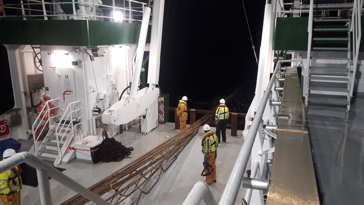 Thibault_Cariou's tweet image. A little bit of night time action on the #M2S2 survey. 🌙 Some species migrate vertically and move to the surface to feed once the light is gone. It translated in our haul with a higher species diversity! Aside pearlsides: Greenland argentine, hatchetfish, baracudina, glass eel