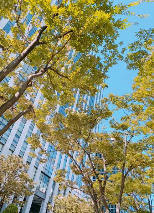 横浜の景色たち。写真を撮る手が止まらない...楽しかった... 