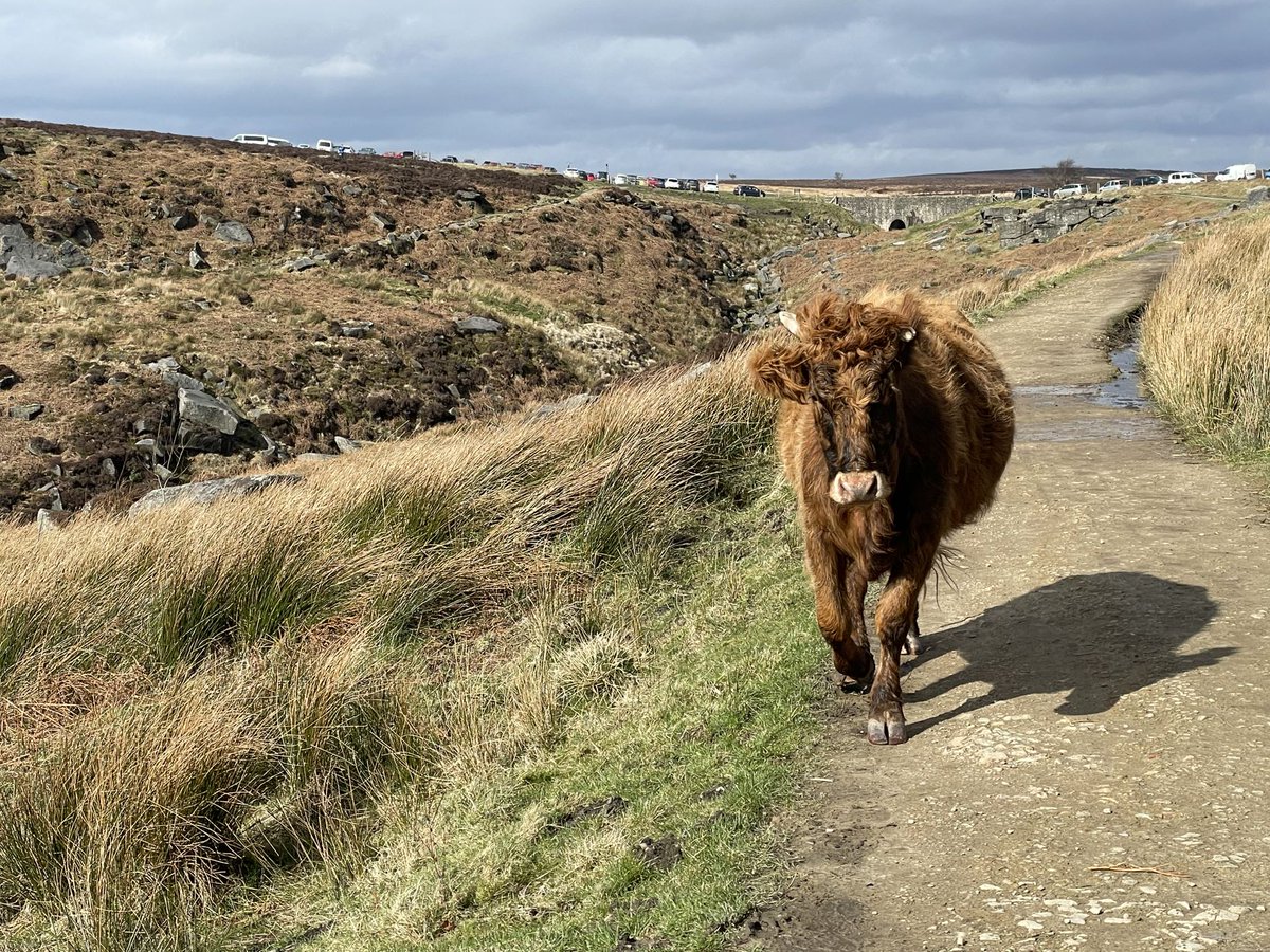 deeperthanblue1's tweet image. With the #PeakDistrict right on the doorstep of #TheOutdoorCity we often venture into the stunning countryside on the weekends and this weekend was no different. #ExploreAndCode could be within your grasp, check out our vacancies and join our team today! bit.ly/3Rc9AhI