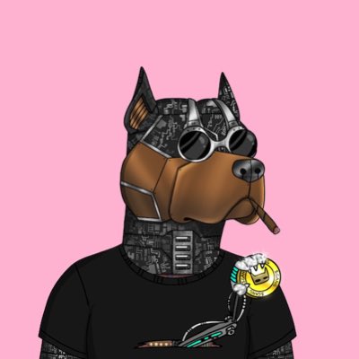 RMoxah's tweet photo. #NewProfilePic #GutterCatGang https://t.co/cTAPL0M0MW