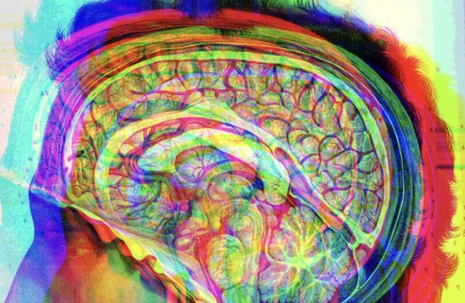 Powerful case for integrating bottom-up and top-down brain modelling from ⁦<a href="/HumanBrainProj/">Human Brain Project</a>⁩’s ⁦<a href="/egidio_dangelo/">Egidio D'Angelo</a>⁩ and Viktor Jirsa (who is also CSO of ⁦<a href="/EBRAINS_eu/">EBRAINS</a>⁩). Full version: cell.com/trends/neurosc…, shorter overview: humanbrainproject.eu/en/follow-hbp/…