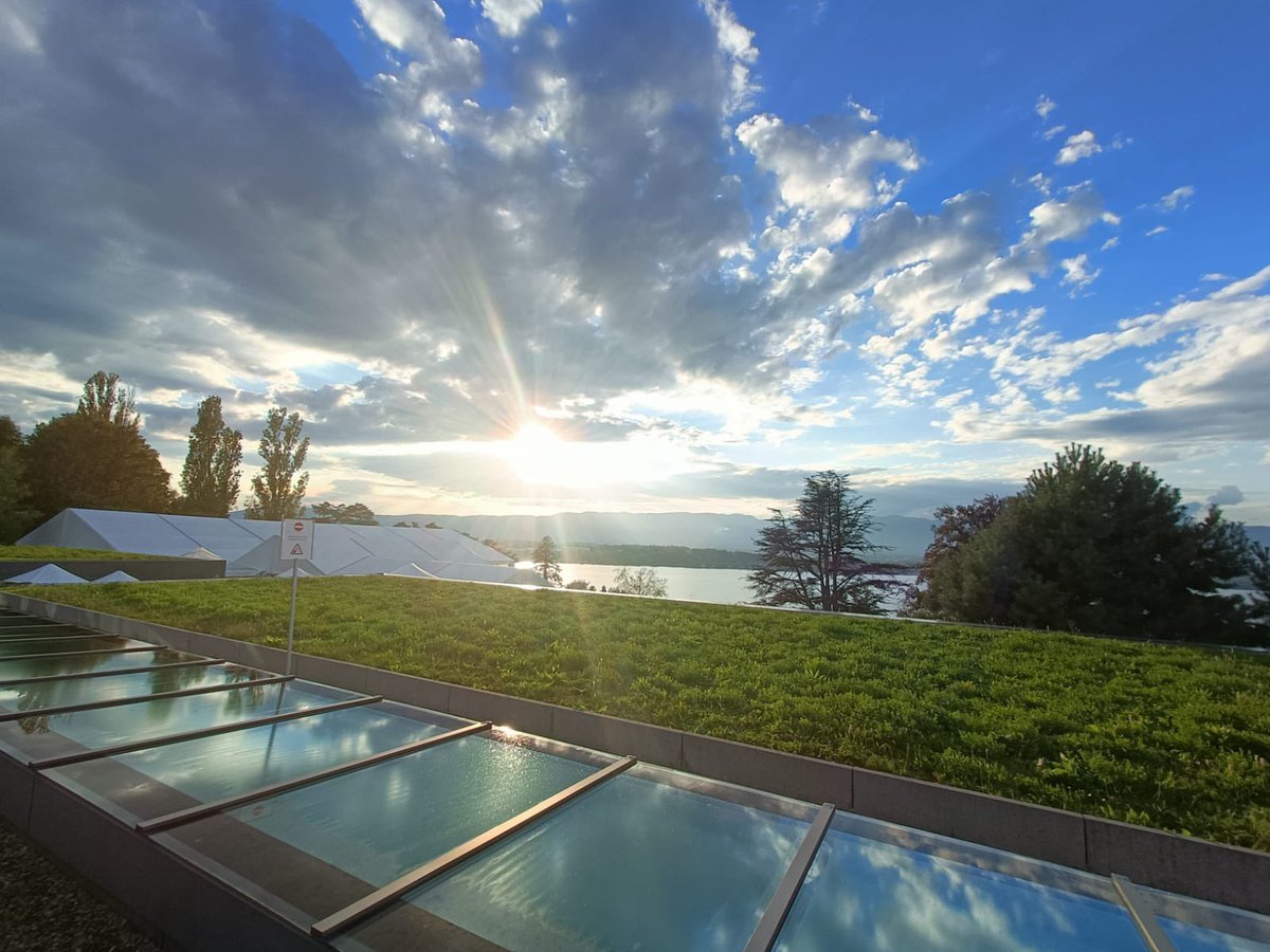 Highlights from Day 2 of the Global Shapers Global Summit 2022, including a chat with the president of the WEF <a href="/borgebrende/">Børge Brende</a> !

<a href="/BrusselShapers/">Global Shapers Brussels</a> <a href="/GlobalShapers/">Global Shapers</a> <a href="/wef/">World Economic Forum</a> #genevaswitzerland #leadershipdevelopment #youngleaders #community