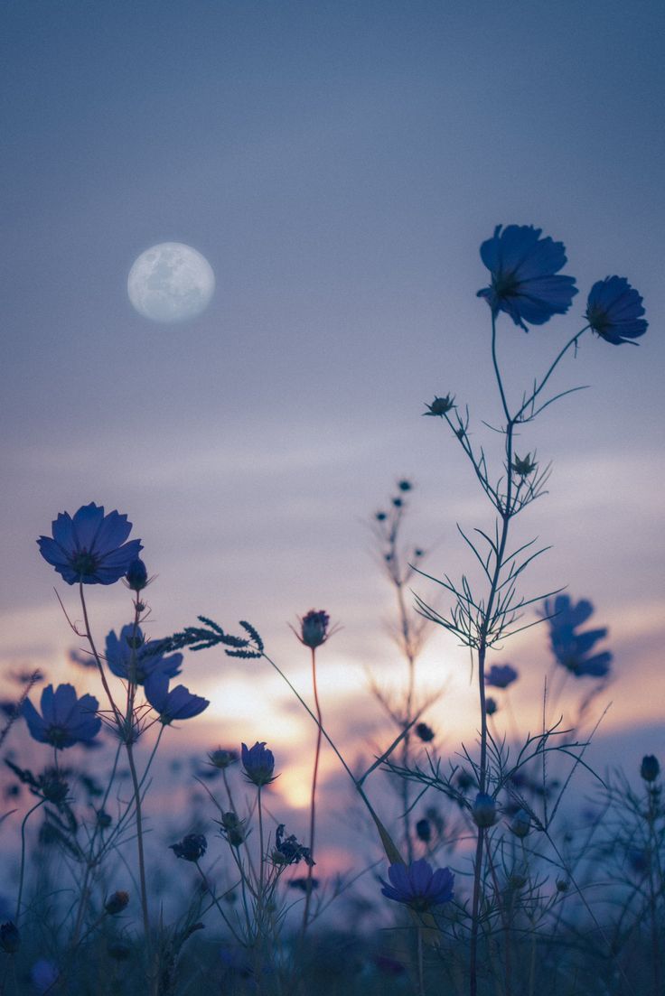 구름산책 (@cloudsansan) on Twitter photo 