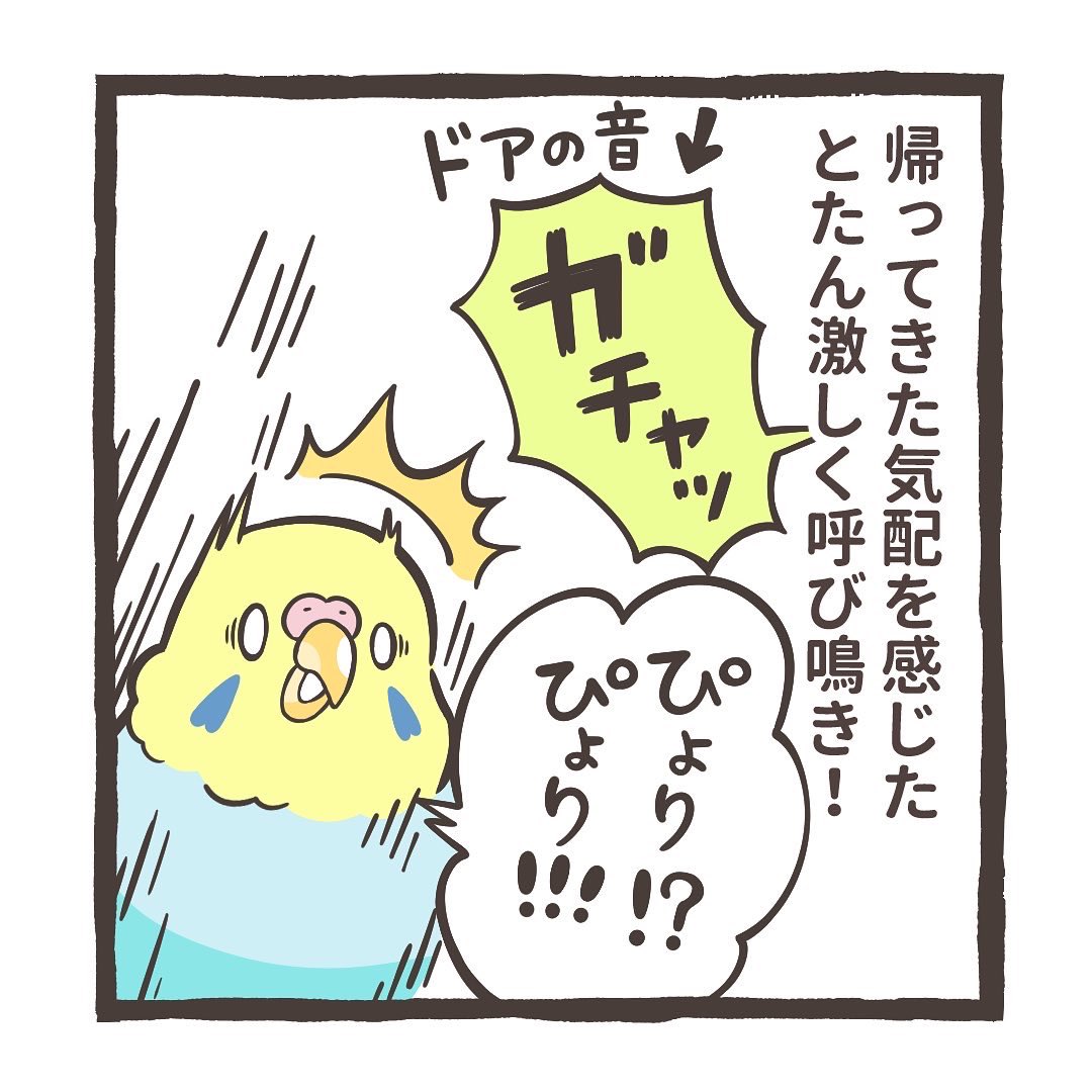 インスタにトリ扱い説明書の漫画をアップしました⤴️

もふピトォッ🐥
↓↓
https://t.co/rWBoOhZjoR

最新話はこちら
↓↓
https://t.co/IXUV8mPUbl 