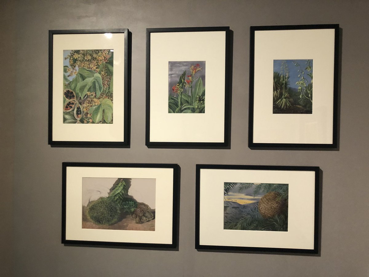 Last day to visit ‘Radical Landscapes’ <a href="/tateliverpool/">Tate Liverpool</a> - loved the revolutionary calendar (of plants/natural things). <a href="/melbluenose/">Melanie Lewis</a> was a teasle! Our <a href="/World_Museum/">World Museum 🌎</a> collections feature.