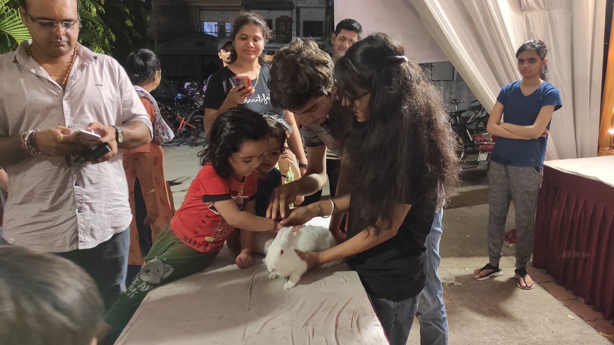 ncseerc's tweet photo. Touch and Feel programs during Ganesh Utsav are a great way to bring the society together for some FUN!! 
Be sure to invite them at your #GaneshChaturthi2022 Mandap ✨ 
TO BOOK, CALL US ON 9979730036 

ALL PROCEEDS GO TO #RESCUING  #ANIMALS AND RUNNING OUR ANIMAL HOSPITAL 🕊 https://t.co/jhLbI42gGH