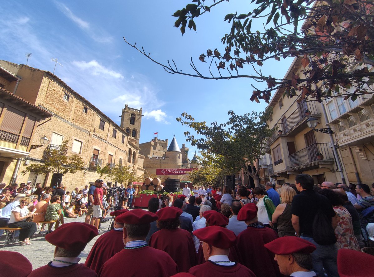 Vuelve la Fiesta de la Vendimia de #Navarra a Olite y lo hace con el pregón del ex futbolista cascantino, Kike Sola, gran aficionado y divulgador del vino.