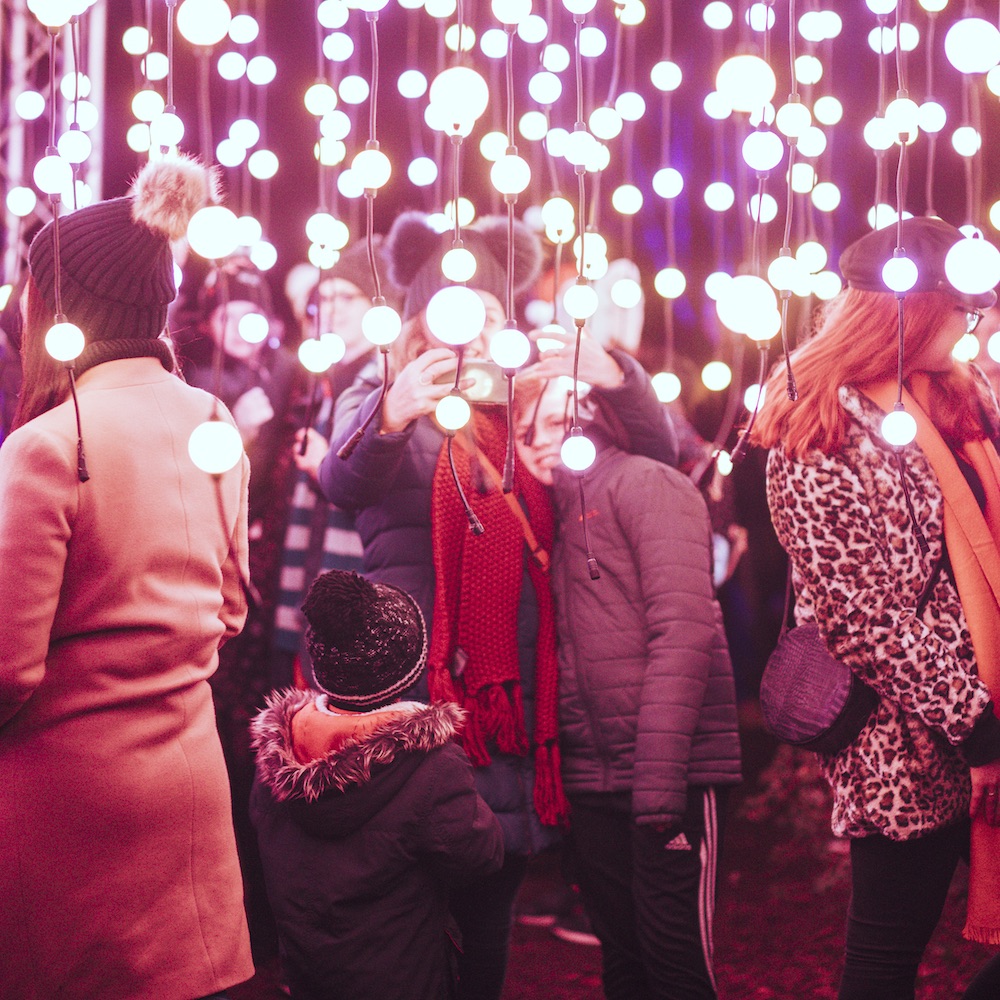 BhamBotanicalGd's tweet image. See the Gardens in a whole new light this festive season ✨

Creating a spectacular illuminated trail around the Gardens, Luminate Birmingham will run nightly from 26th November until the New Year. Enjoy a festive walk around the Gardens: bit.ly/3pWhQWZ