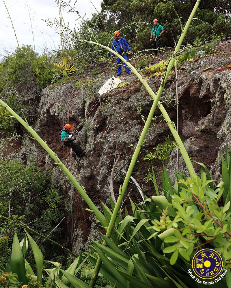 SaintsDidNext's tweet photo. Rope access training this week with the EMD Conservation team, at High Knoll.

#wtsdn #sthelenaisland #ropetraining #sthelenaconservation #ropeaccess #ropework #ropesafety https://t.co/NSil57hADw