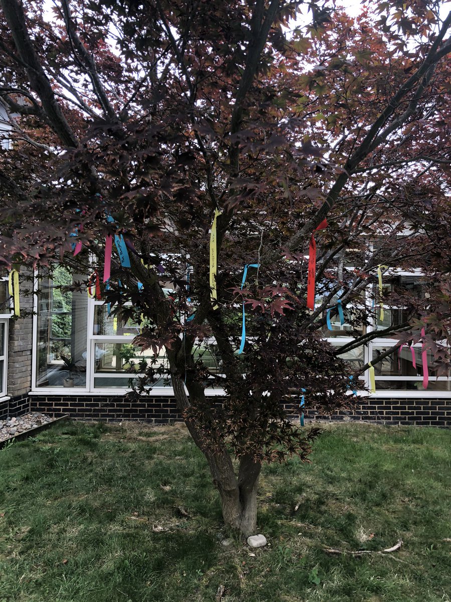 LOROSHospice's tweet photo. More and more people are hanging a ribbon in remembrance on our tree - it’s looking lovely 😊 Come down to our Big Day Out and hang yours - we’re here until 4pm xx https://t.co/QFTGKgDBH2
