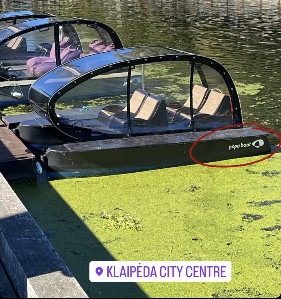 настоящий Низовцев on Twitter: "Найдена новая яхта путина"