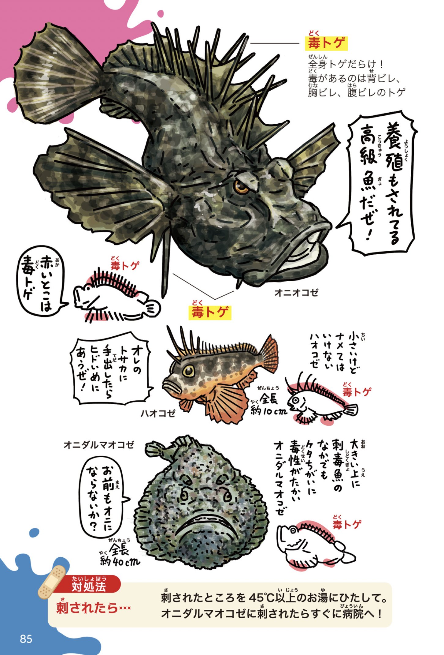 オニオコゼ Twitter Search Twitter