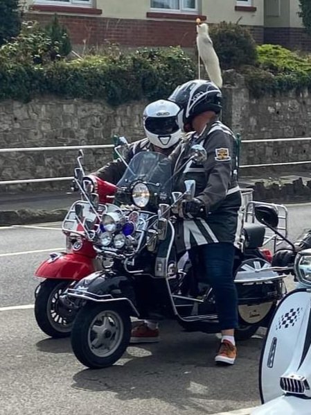 A few finds from last weekend