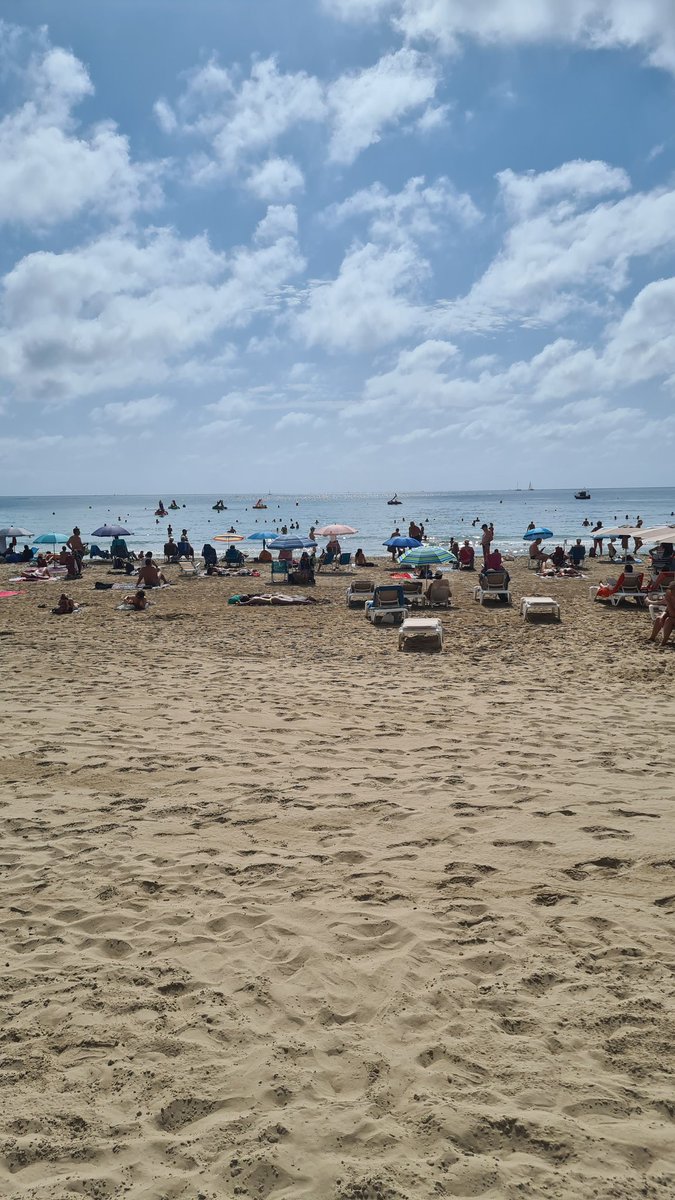 Victoria Pertusa tweet media