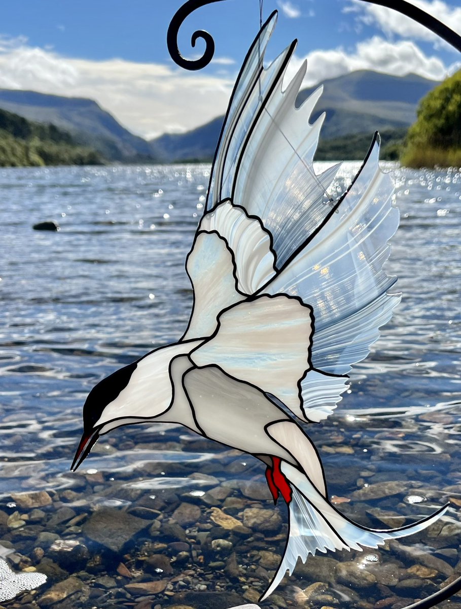 fidhw's tweet photo. Copperfoil stained glass Arctic Tern, can be hung from wire (window or hanging stand) or wall. International shipping available. With/without stand (I have a couple of different slate bases for this stand).
40x28cm (hanging as in photos). Price enquiries by PM please. https://t.co/QPR62RH3KX