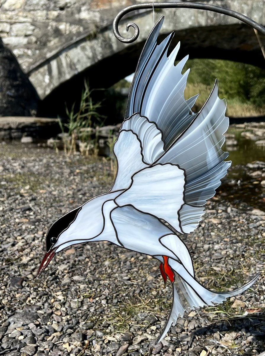 fidhw's tweet photo. Copperfoil stained glass Arctic Tern, can be hung from wire (window or hanging stand) or wall. International shipping available. With/without stand (I have a couple of different slate bases for this stand).
40x28cm (hanging as in photos). Price enquiries by PM please. https://t.co/QPR62RH3KX