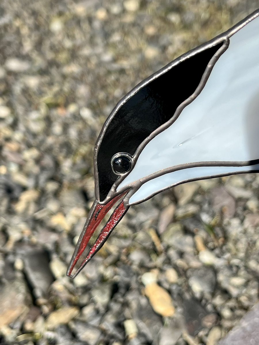fidhw's tweet photo. Copperfoil stained glass Arctic Tern, can be hung from wire (window or hanging stand) or wall. International shipping available. With/without stand (I have a couple of different slate bases for this stand).
40x28cm (hanging as in photos). Price enquiries by PM please. https://t.co/QPR62RH3KX