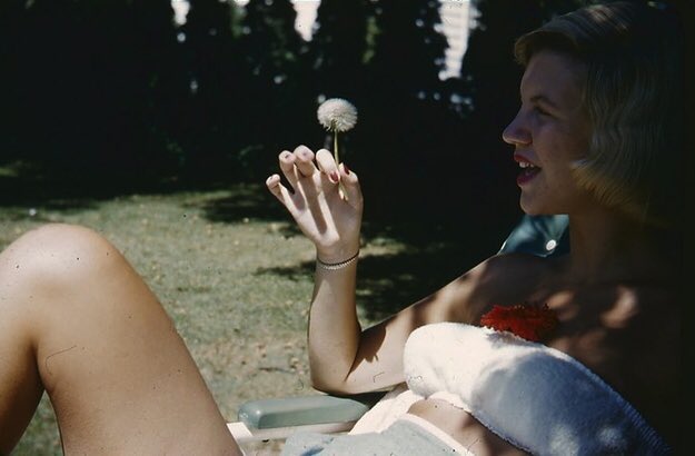 PoetSylviaPlath's tweet photo. Brave love, dream not of staunching such strict flame, but come, lean to my wound; burn on, burn on. https://t.co/jmTRW0TBgV