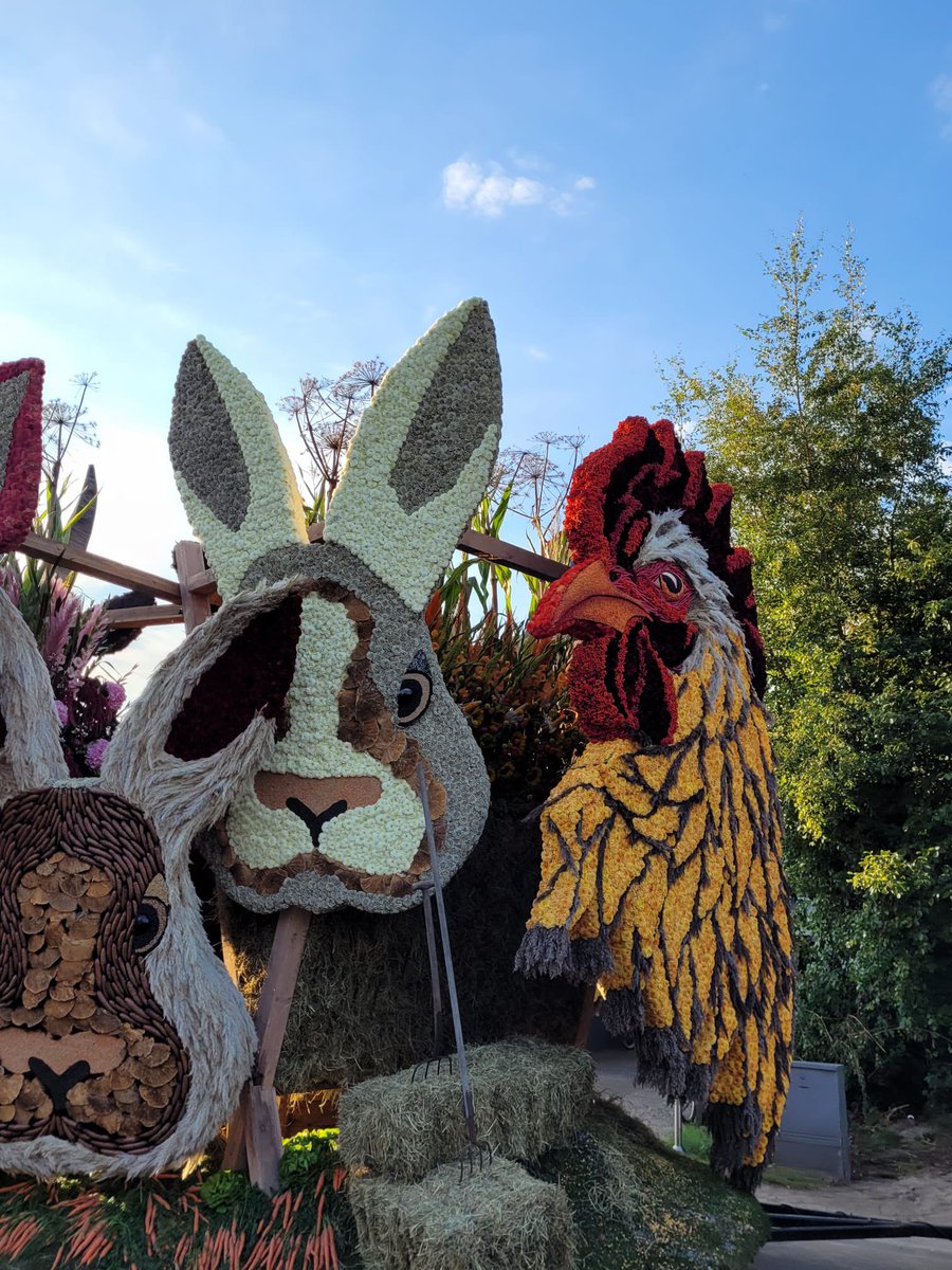 Trots 3e plaats van Seijen bloemen/Duinstraat corso Eelde.
