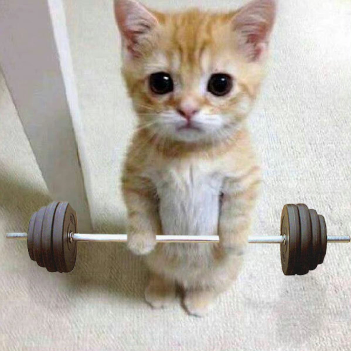 อินจุนเข้ายิม
สะใภ้คิด                                   แม่คิด