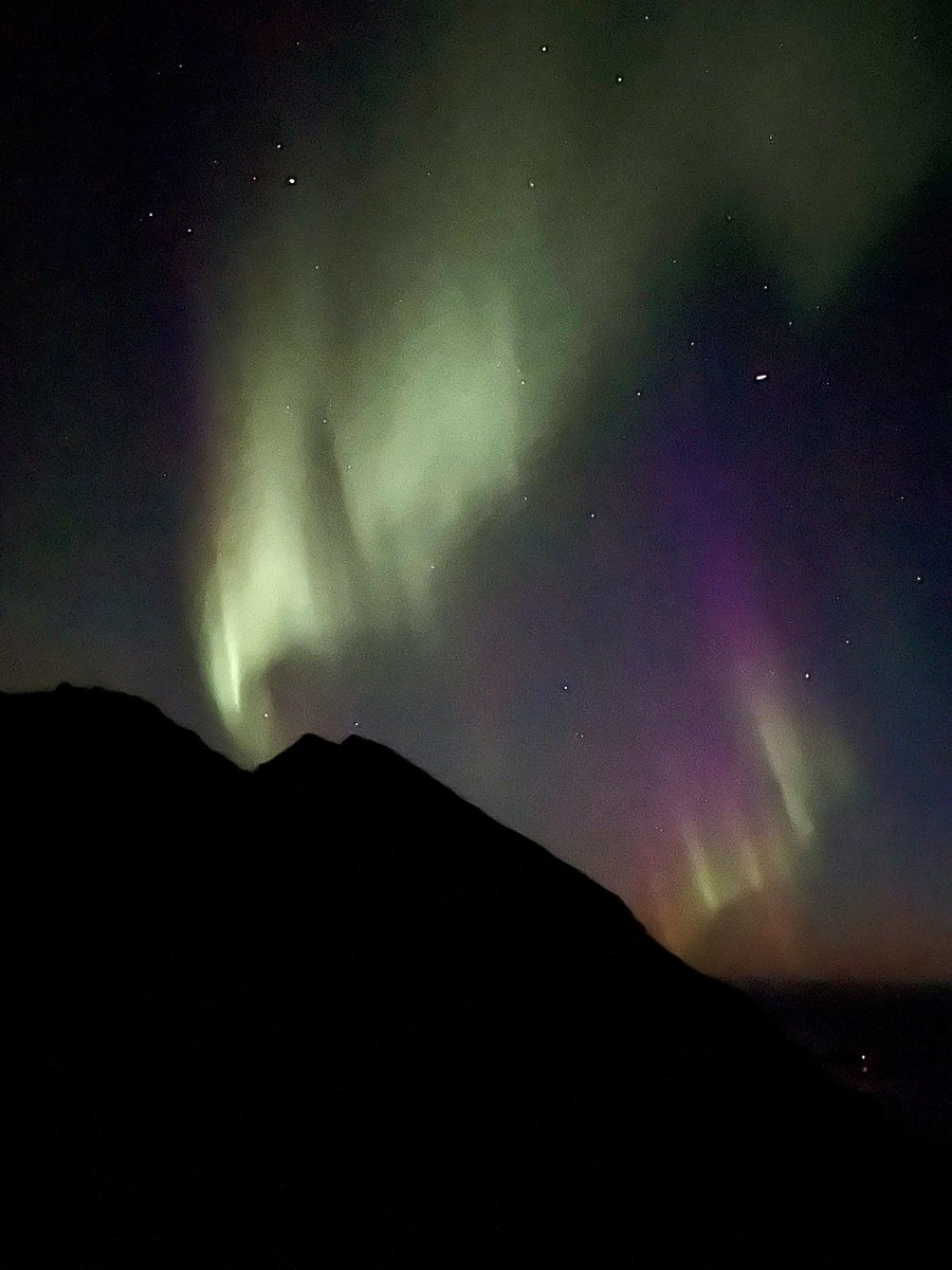feierabendhefe's tweet photo. Still can‘t believe this was the view from our tent tonight - a literal dream https://t.co/qnkj4uh7iy