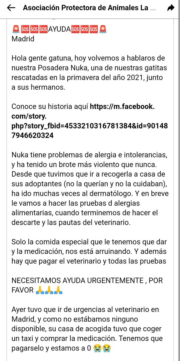 Natalia Frutos tweet media