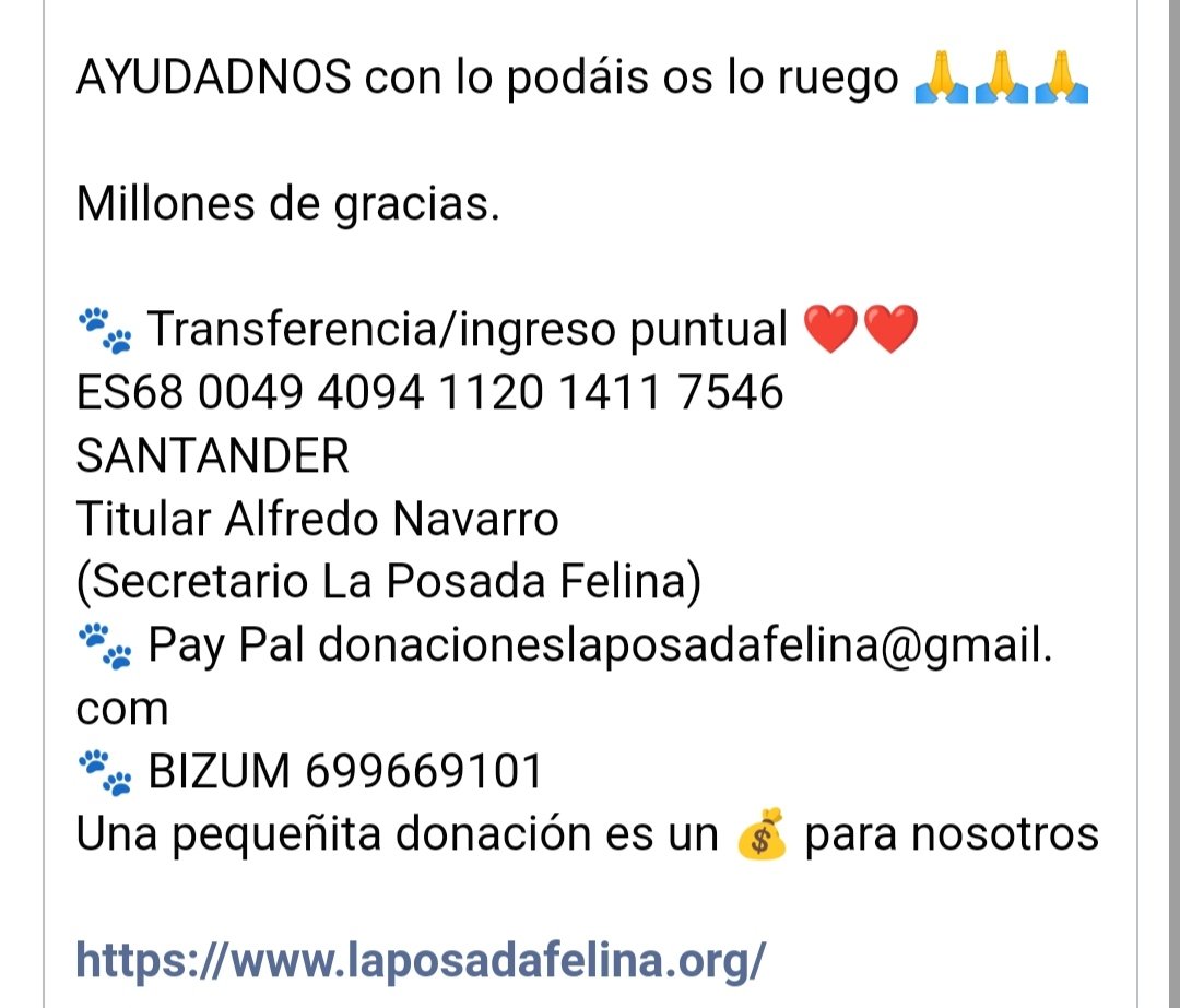 Natalia Frutos tweet media