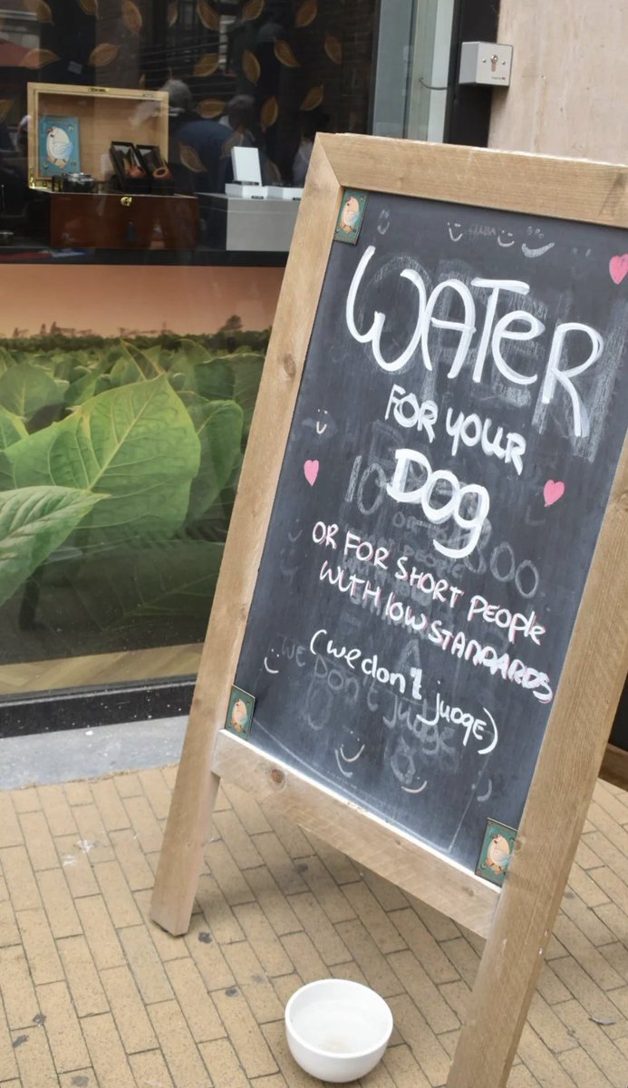 BuurvrouwvanEva's tweet image. Mensen die klagen dat een glas water op het terras geld kost, kleine mensen hebben altijd gratis water 🤣 

📸 @Zaqina  #Groningen #shortpeopleproblems