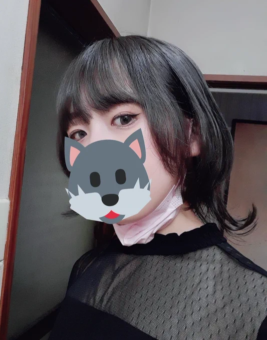 かわいいウルフにしてもらったぜ〜!!! 