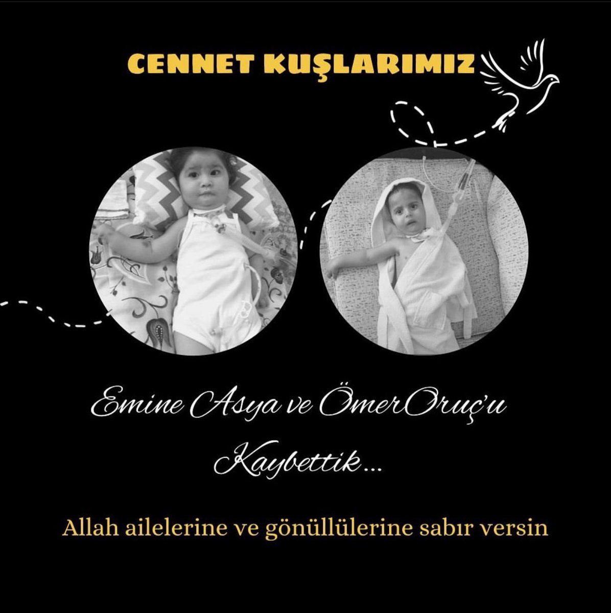 İki bebeğimiz daha bu savaşta sesini duyuramadı. Elif Sare ailesi olarak ailelerine, gönüllülerine ve hepimize baş sağlığı diliyoruz. Rabbim sabır versin🙏🙏 @smaemineasya @omerehayatol