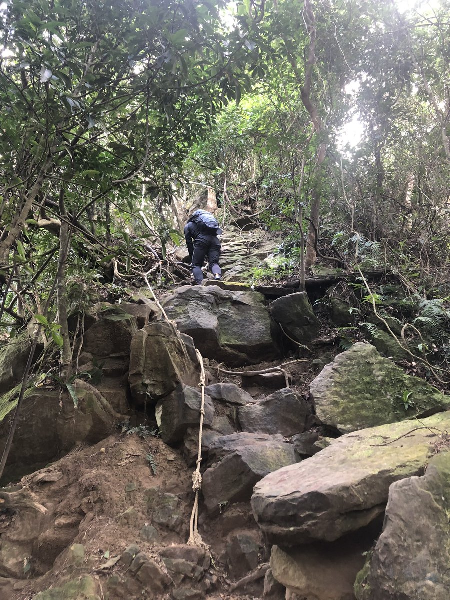 dagehotw's tweet photo. 去年から山登りにハマった私たち⛰
今は台北、宜蘭、台中の山しか行ったことないけど、これから東部とか一泊二日で行くのが目標🫶
今回一時帰国で彼の物と合わせてモンベルで10万円分くらい爆買い😂✨モンベル可愛いし安いし地元大阪のブランドだから推し😂✌️ https://t.co/c6I0tPJzKQ