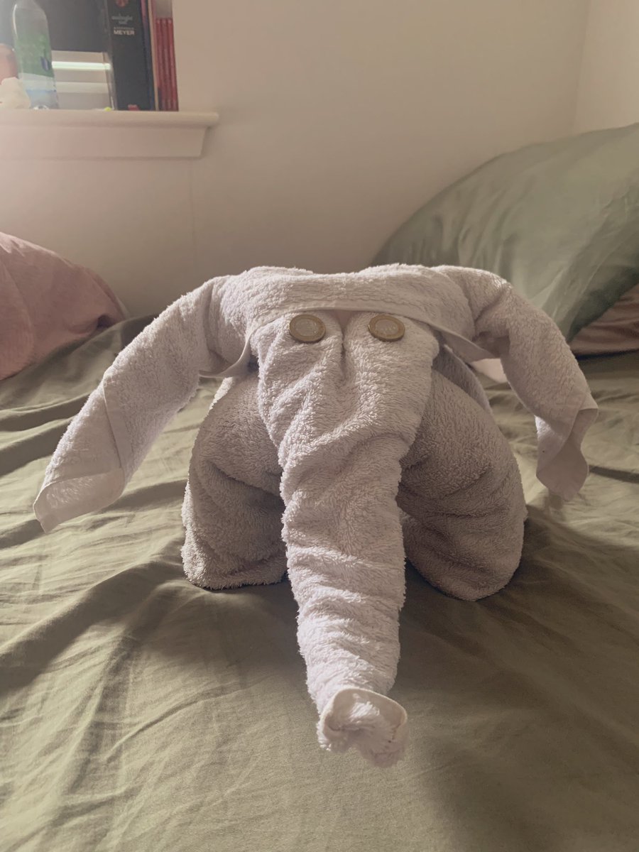 MissBrownPri's tweet photo. Amazing how different all our elephants turned out despite following the exact same tutorial. Teddy told me he wants to join the herd 🐘💓#UoEPGDEp https://t.co/KF7sBoBHwm