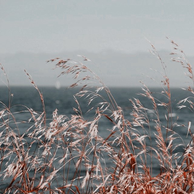 ❛ 𝘐𝘧 𝘰𝘯𝘦 𝘳𝘦𝘢𝘥 𝘓𝘢𝘥𝘺 𝘞𝘩𝘪𝘴𝘵𝘭𝘦𝘥𝘰𝘸𝘯'𝘴 𝘰𝘧𝘵𝘦𝘯 𝘦𝘯𝘰𝘶𝘨𝘩, 𝘰𝘯𝘦 𝘤𝘰𝘶𝘭𝘥 𝘢𝘭𝘮𝘰𝘴𝘵 𝘧𝘦𝘦𝘭 𝘢 𝘱𝘢𝘳𝘵 𝘰𝘧 𝘓𝘰𝘯𝘥𝘰𝘯 𝘴𝘰𝘤𝘪𝘦𝘵𝘺 𝘸𝘪𝘵𝘩𝘰𝘶𝘵 𝘢𝘤𝘵𝘶𝘢𝘭𝘭𝘺 𝘢𝘵𝘵𝘦𝘯𝘥𝘪𝘯𝘨 𝘢𝘯𝘺 𝘣𝘢𝘭𝘭𝘴.❜

𝒊. #Bridgertonrp
𝒊𝒊. 𝒓𝒕 &amp; 𝒇𝒂𝒗