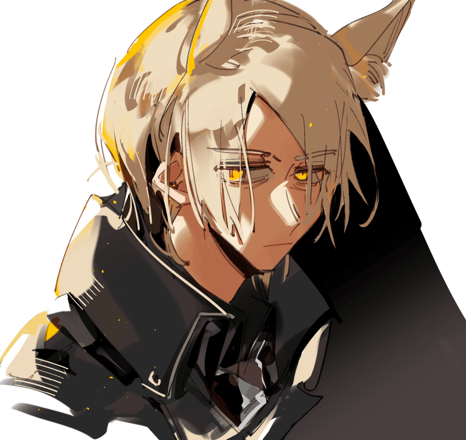 #アークナイツ  #Arknights #ムリナール 
複刻② 